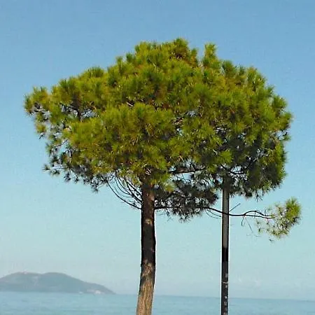 Serenade Lungomare Walk To Sea Promenade Seafood Restaurants Free Parking Vlore
