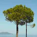 Serenade Lungomare Walk To Sea Promenade Seafood Restaurants Free Parking Vlorë
